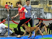 Bóng đá anh, ngoại hạng anh, lịch thi đấu euro 2012, Khi phái đẹp Hà Thành mê...chó Phú Quốc